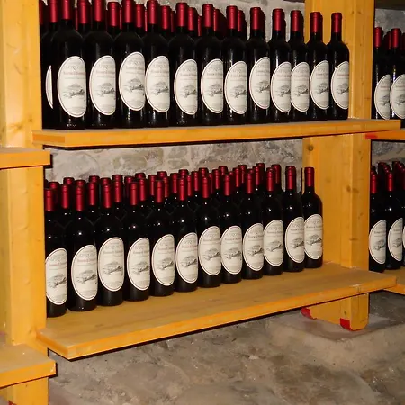 Lo Scoiattolo مزرعة للإقامة فنتيميليا